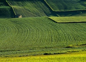 farmland